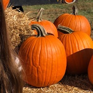 Meet your Posher, Martha